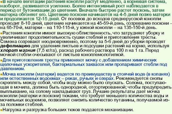 Сайт кракен онион