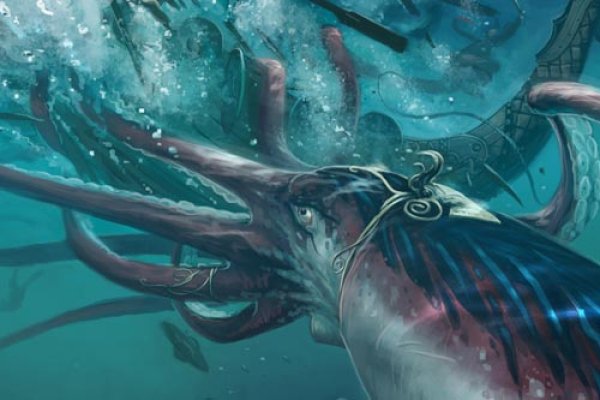 Kraken whitenet зеркала кракен обход