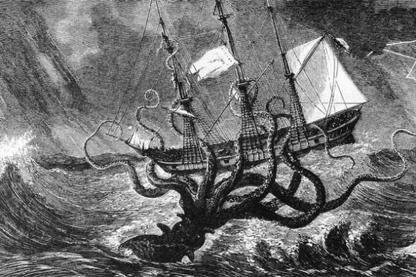 Kraken 20at
